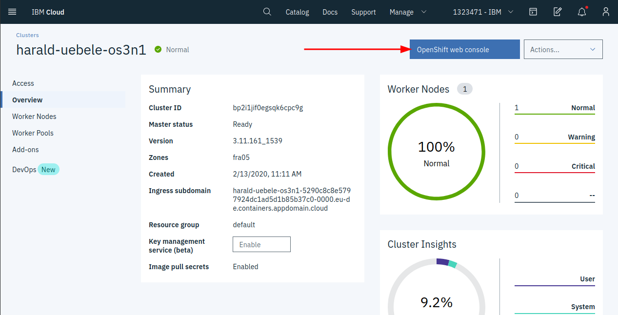 Open the OpenShift web console